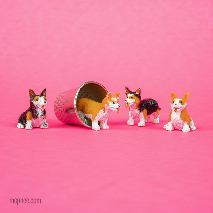 Itty Bitty Corgis alongside a tiny thimble on a pink background create an adorable scene.