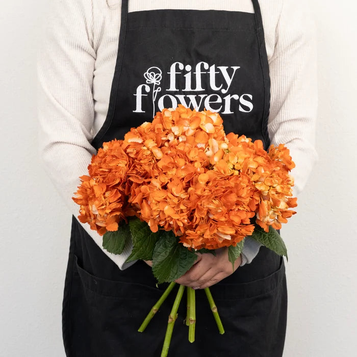 Persimmon Airbrushed Hydrangea Flower Apron - Image