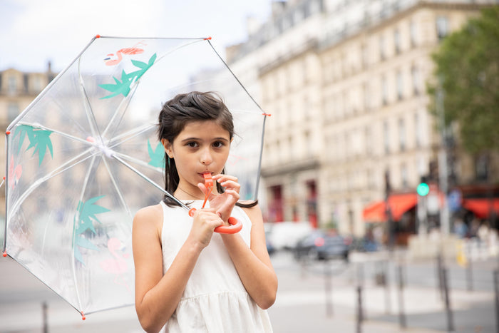 Smati - Umbrella - Transparent - Flamingo - Lifestyle Cut 2