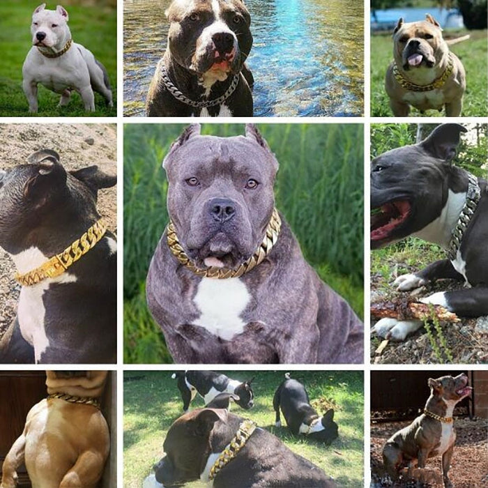 19mm Strong Metal Dog Chain