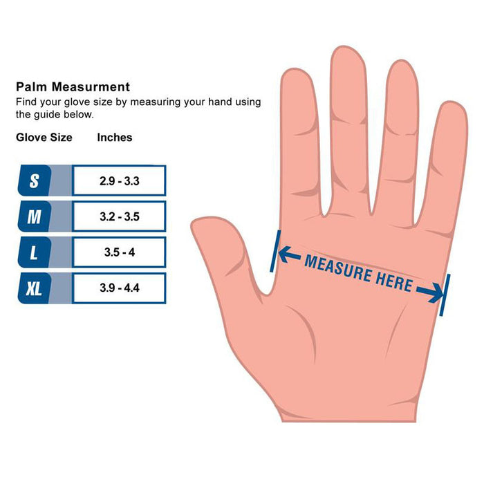AMMEX Clear Vinyl Exam Latex Free Disposable Gloves - SMALL & MEDIUM - Palms Fashion Inc.