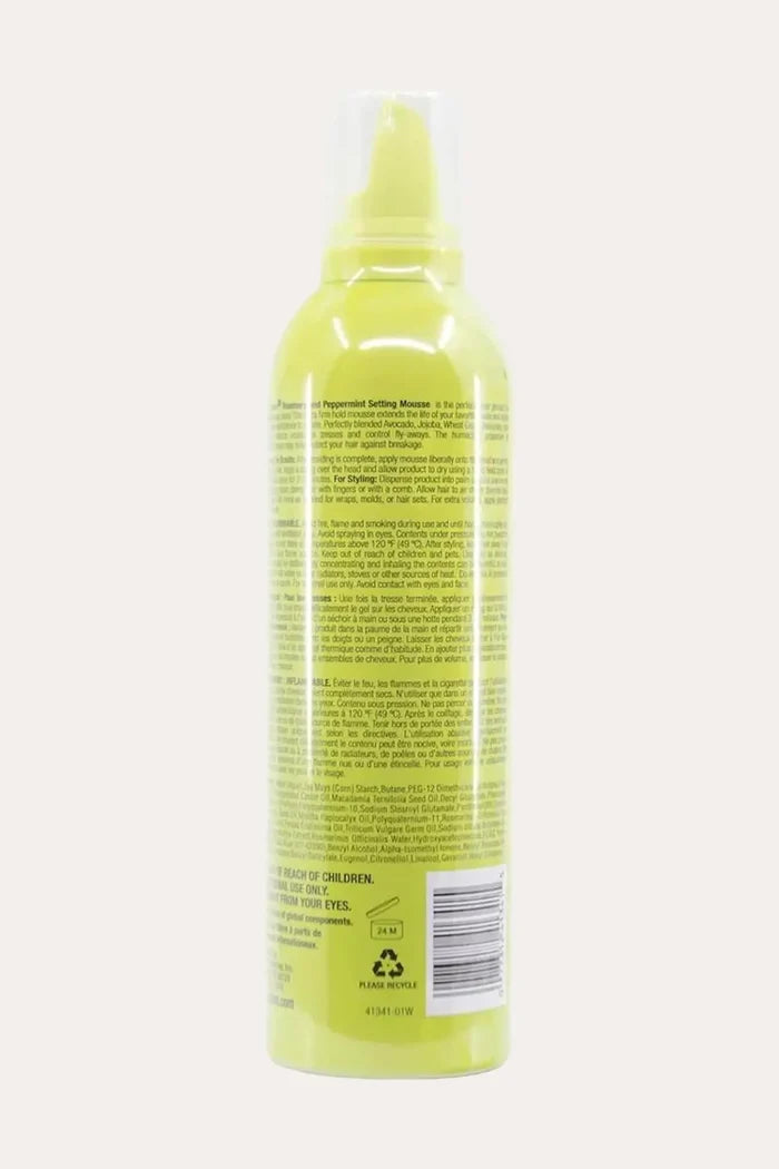 AMPRO SHINE'N JAM ROSEMARY & PEPPERMINT SETTING MOUSSE FIRM HOLD AMPRO