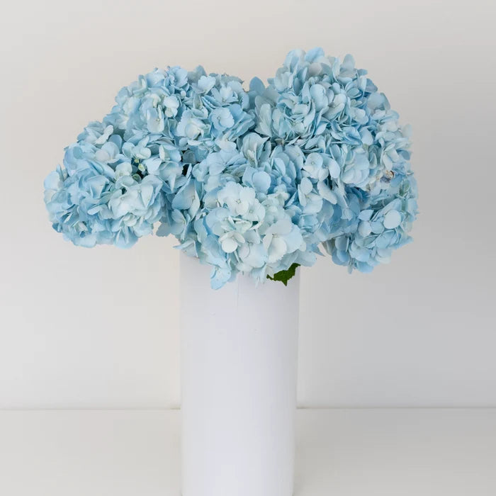 Cool Blue Airbrushed Hydrangea Flower Vase - Image