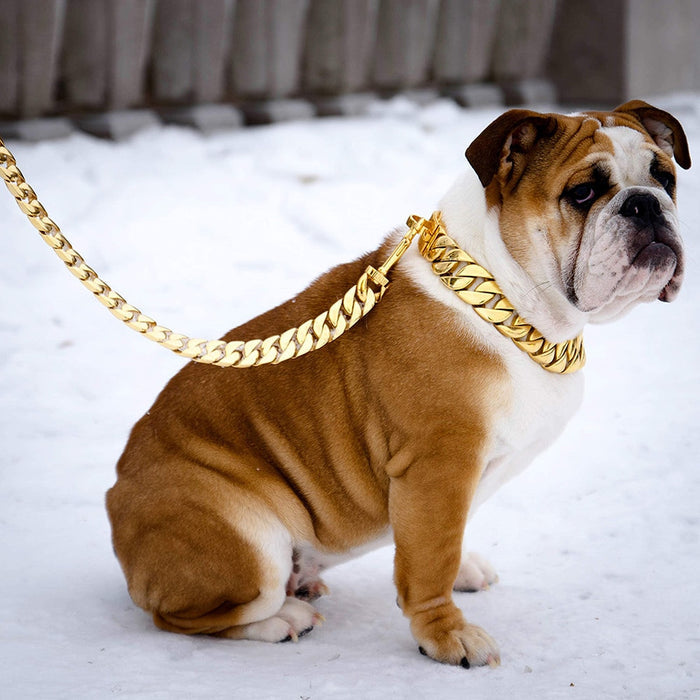 Cuban Link Chain Dogs Leash