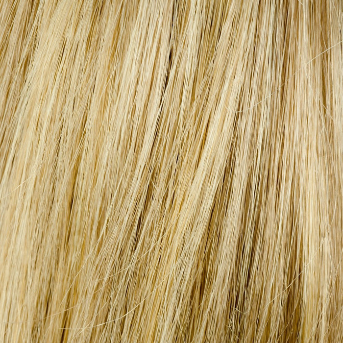 614/25/21 - Dark Golden Blonde Highlight