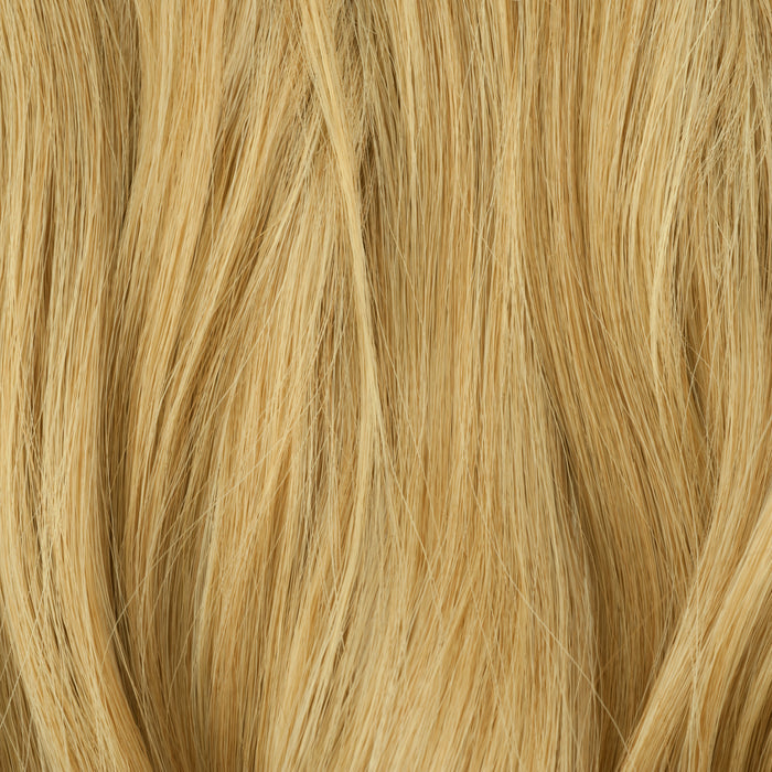10/613 - Light Blonde / Dark Blonde Highlight