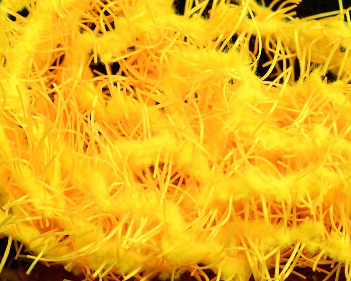 FNF Creeper Chenille - Spawn Fly Fish - FNF