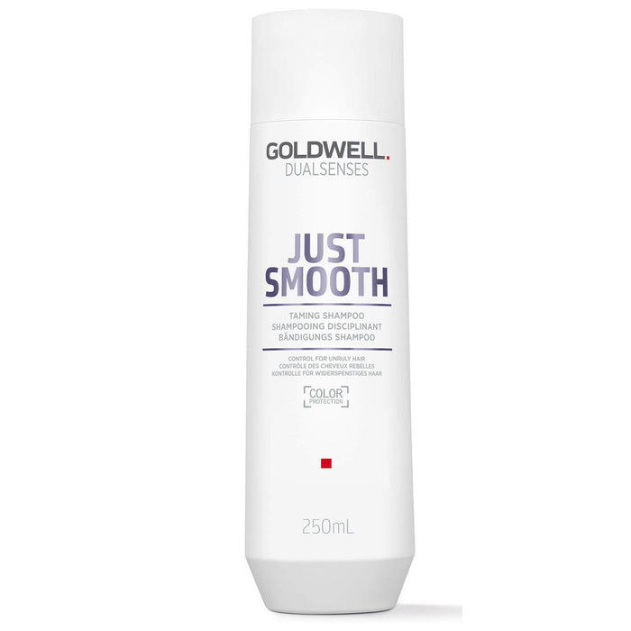Goldwell Dualsenses Just Smooth Shampoo 300ml