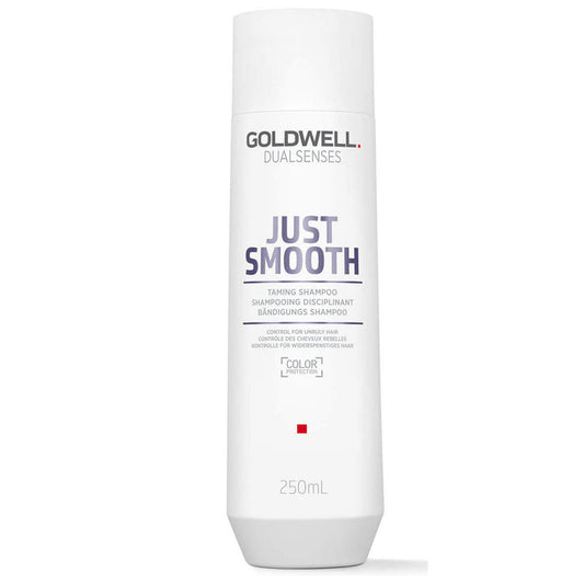 Goldwell Dualsenses Just Smooth Shampoo 300ml