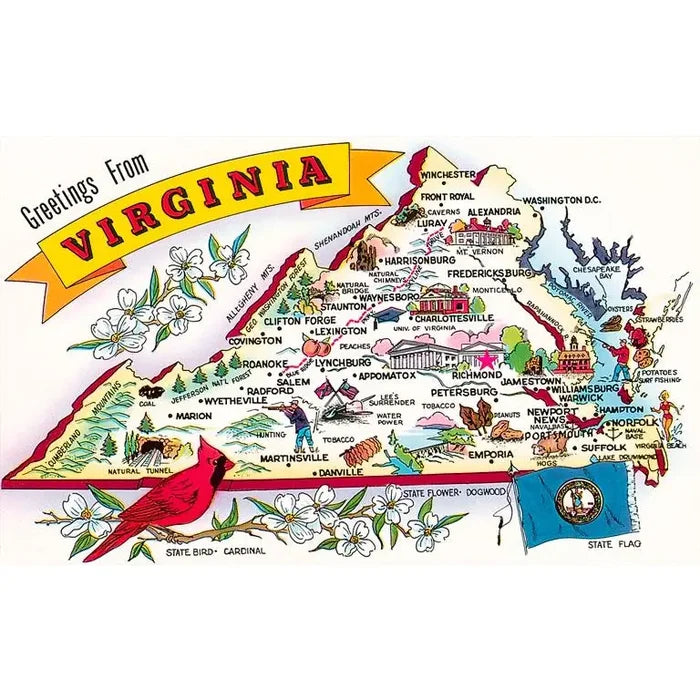 Greetings from Virginia Magnet