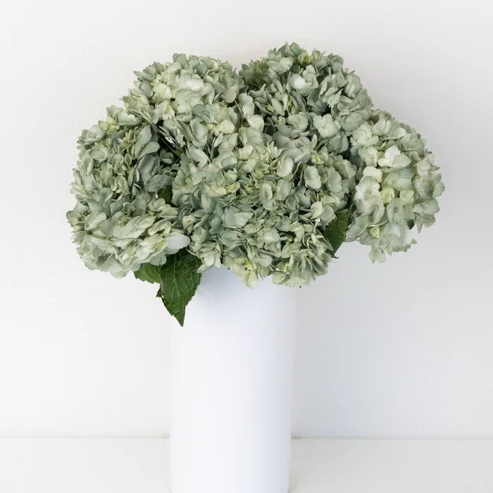 Jade Airbrushed Hydrangea Flower Vase - Image