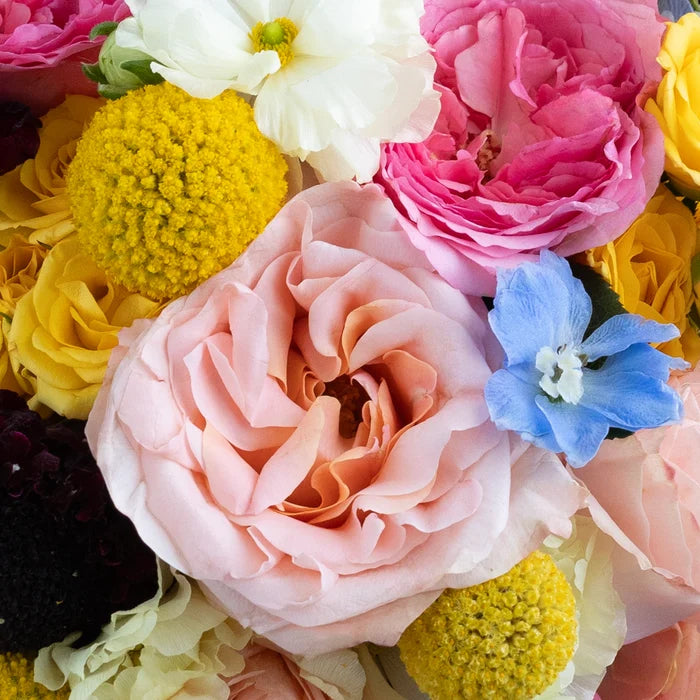 Joyful Blooms Diy Flower Kit Close Up - Image