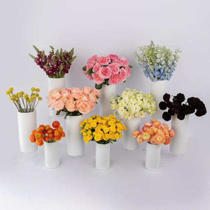 Joyful Blooms Diy Flower Kit Stem - Image