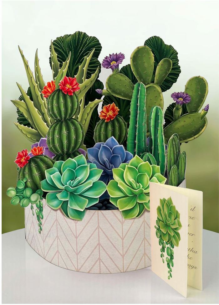 Life Sized Pop-Up Flower Bouquet: Cactus Garden