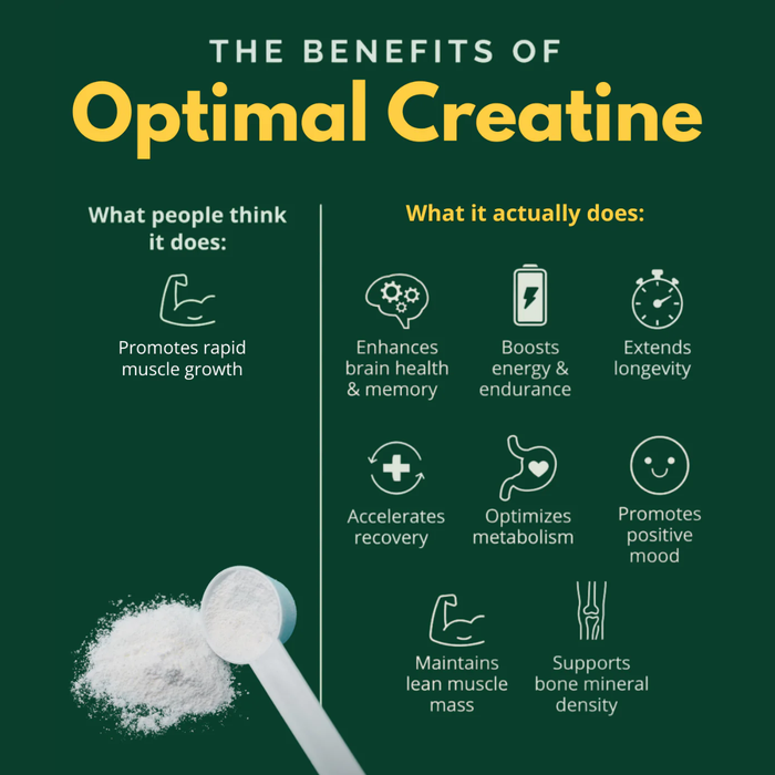 Optimal Health Systems Optimal Creatine instantized creatine monohydrate powder 450 g for strength recovery endurance and cellular energy
