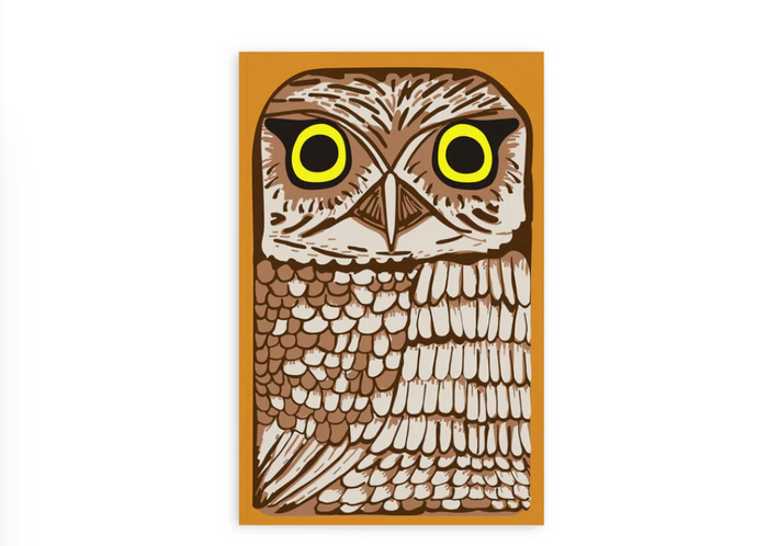 Owl Rescue Notebook
