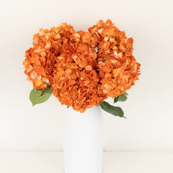 Persimmon Airbrushed Hydrangea Flower Vase - Image
