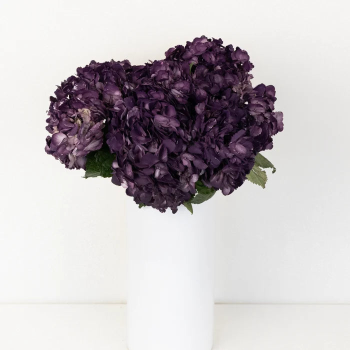 Plum Noir Airbrushed Hydrangea Flower Vase - Image