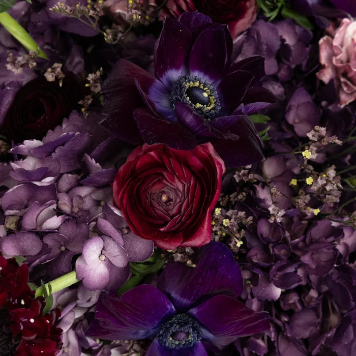 Plum Noir Diy Flower Kit Close Up - Image