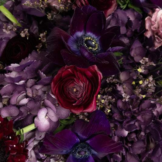 Plum Noir Diy Flower Kit Close Up - Image