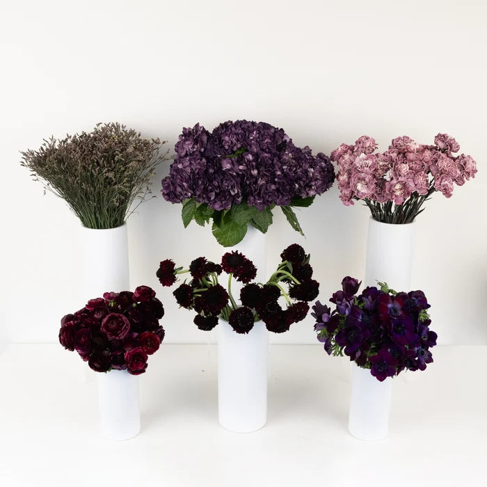 Plum Noir Diy Flower Kit Stem - Image