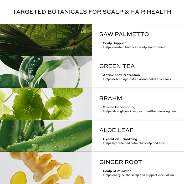 Botanical ingredients for scalp and hair health including saw palmetto, green tea, brahmi, aloe vera, and ginger root, scalp-support ingredients for fuller, healthier-looking hair.