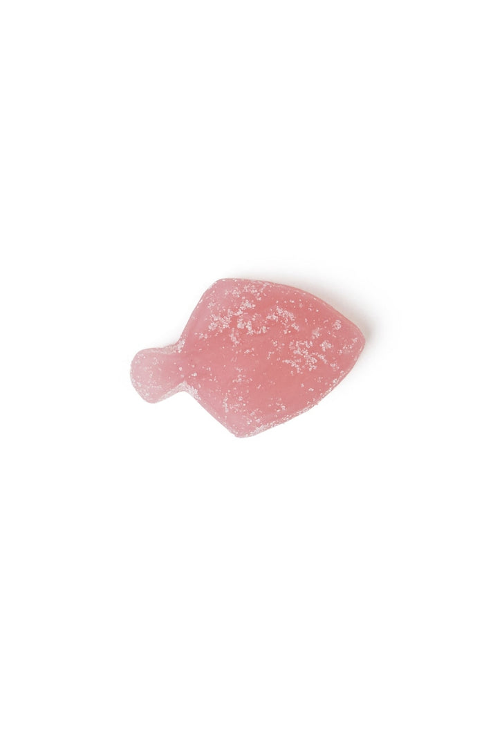 Sour Blueberry Fish 120g