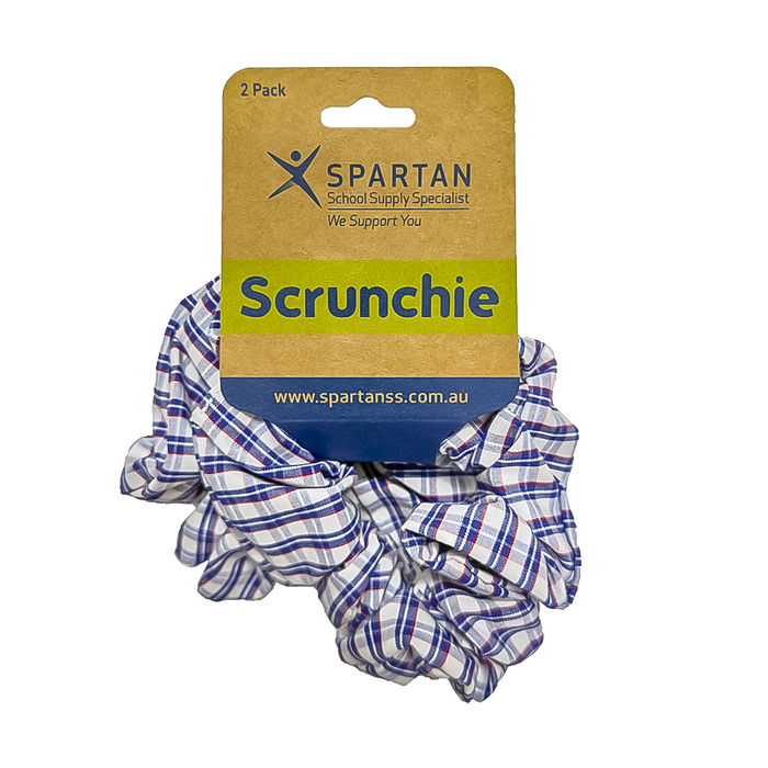 Summer Scrunchie - 2 Pack