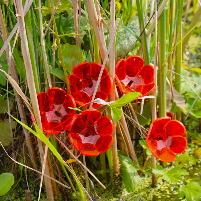 Small (30cm) / Red