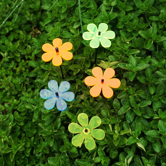 SunCatcher® Set of 5 Handmade Daisy Garden Stakes | Premium Acrylic Garden Flowers | 3 Sizes & 6 Colours