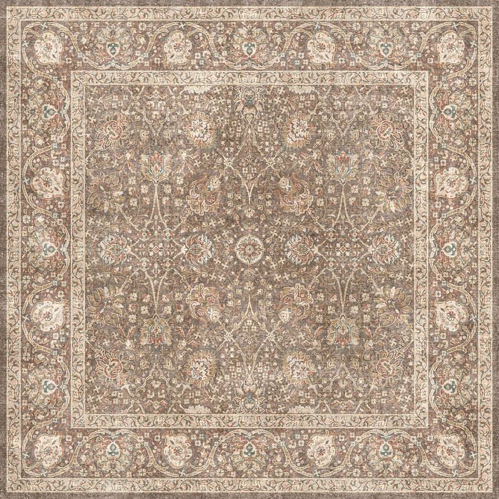 Brown traditional rug with a distressed floral medallion pattern and a decorative border in cream, rust, and teal.