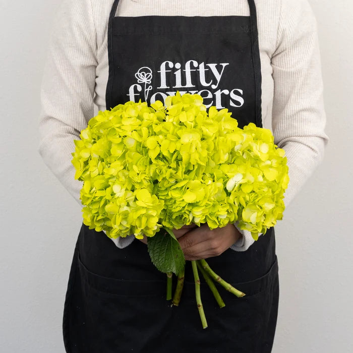 Wasabi Airbrushed Hydrangea Flower Apron - Image