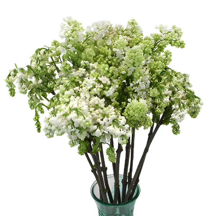 White Lilac Flower