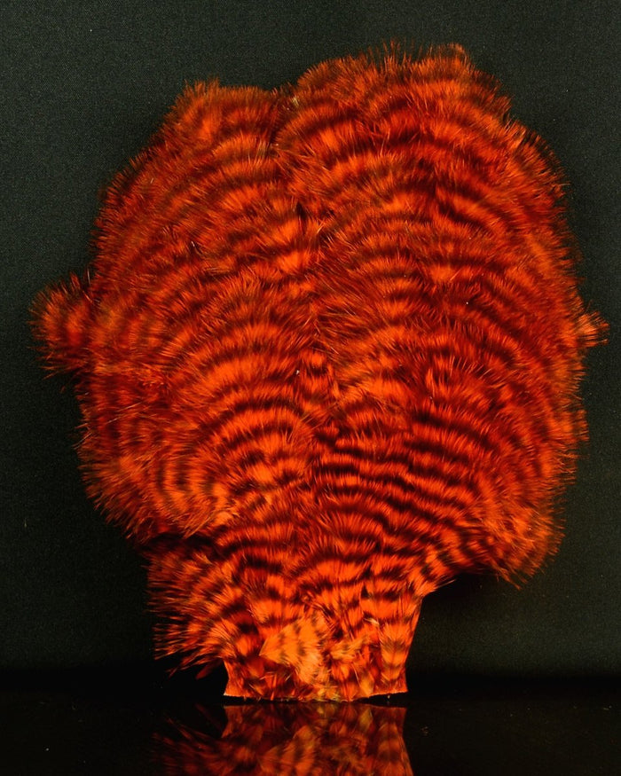 Grizzly Dyed Orange