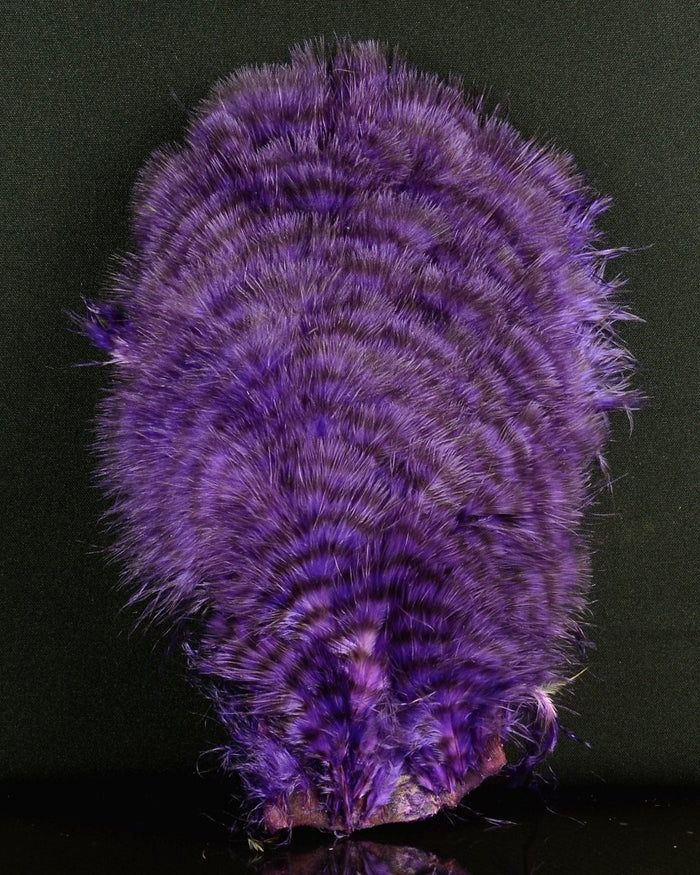 Grizzly Dyed Purple