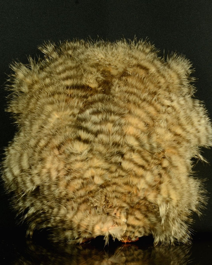Grizzly Dyed Salmon