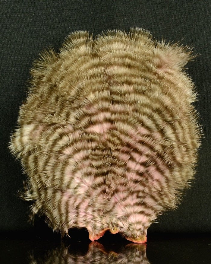 Grizzly Dyed Shell Pink