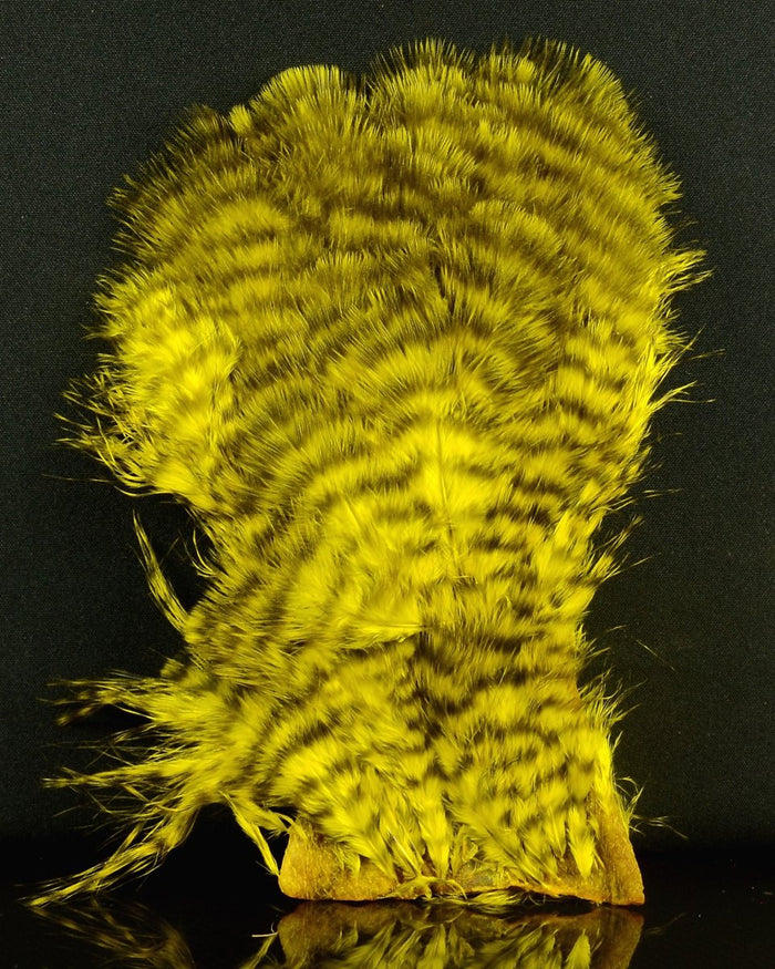 Grizzly Dyed Yellow