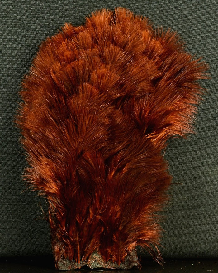 White Dyed Coachman Brown