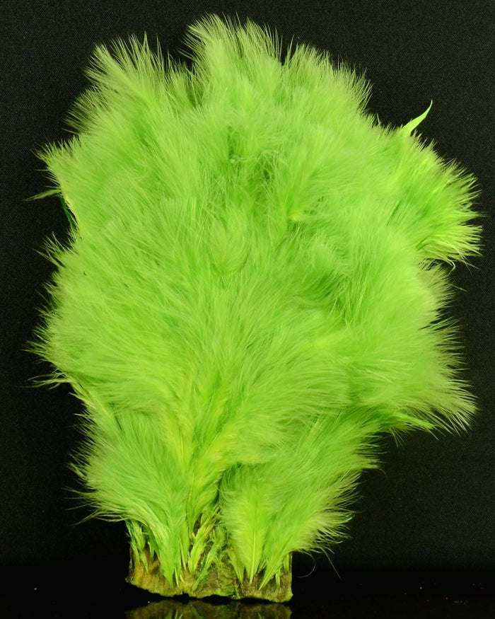 White Dyed Insect Green