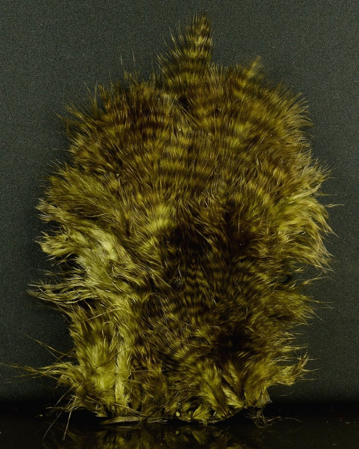 Whiting Farms Chickabou Patch - Spawn Fly Fish - Whiting Farms