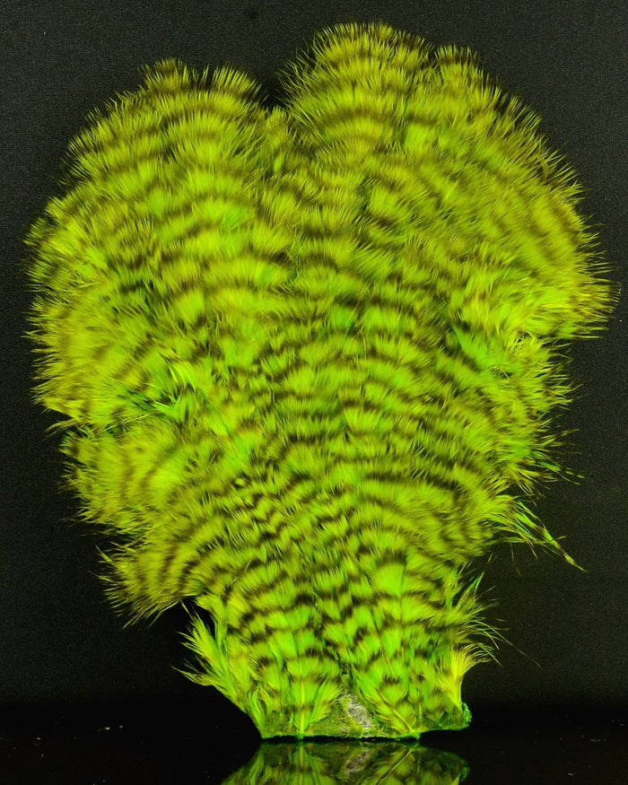 Whiting Farms Chickabou Patch - Spawn Fly Fish - Whiting Farms