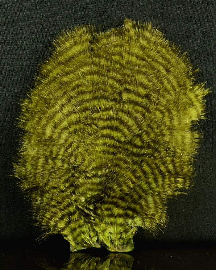 Grizzly Dyed Olive