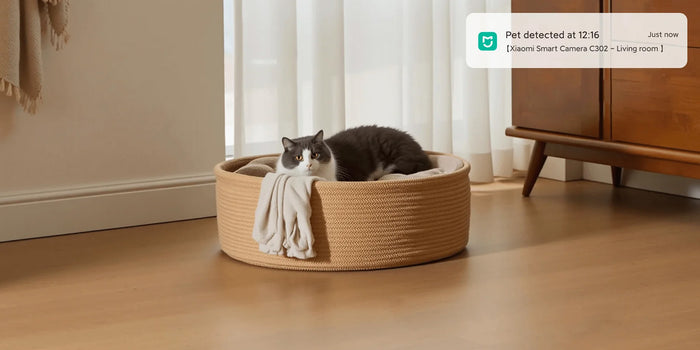Xiaomi Smart Camera C302